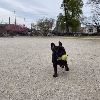 Dyker Beach Park Dog Run